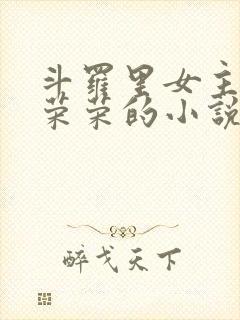 斗罗里女主是宁荣荣的小说