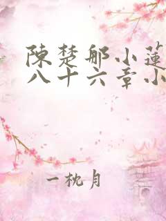 陈楚那小莲一百八十六章小说