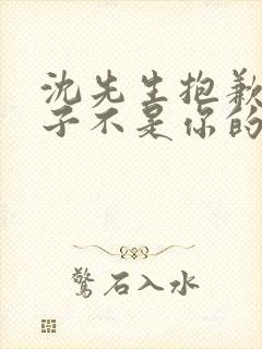 沈先生抱歉,孩子不是你的短剧