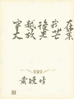 穿越后我在沙场大放光芒叶临渊阅读全文