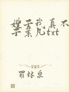 嫂子我真不是傻子叶凡txt