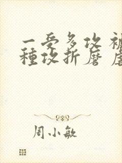 一受多攻 被各种攻折磨 虐文