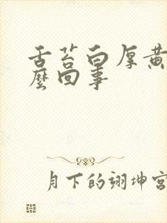 舌苔白厚黄是怎么回事