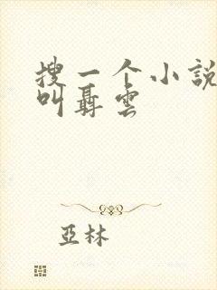搜一个小说主角叫聂云