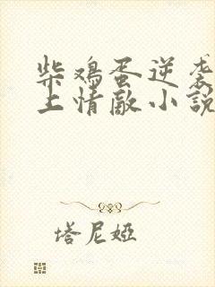 柴鸡蛋逆袭之爱上情敌小说