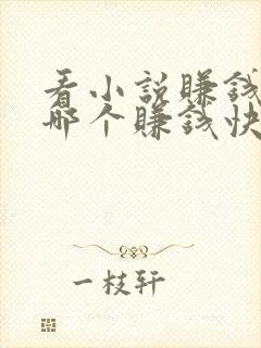 看小说赚钱软件哪个赚钱快