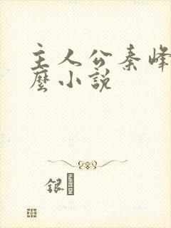 主人公秦峰是什么小说