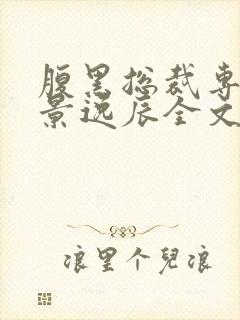 腹黑总裁专宠妻景逸辰全文免费