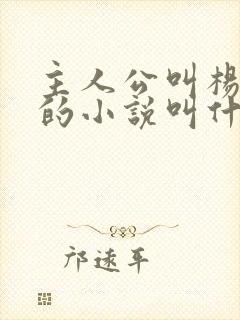 主人公叫杨小天的小说叫什么名字