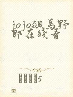 jojo飙马野郎在线看
