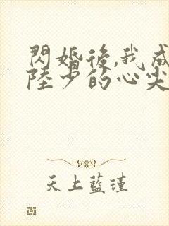 闪婚后,我成了陆少的心尖宠