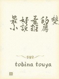 最好看的双男主小说推荐