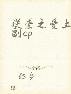 逆袭之爱上情敌副cp