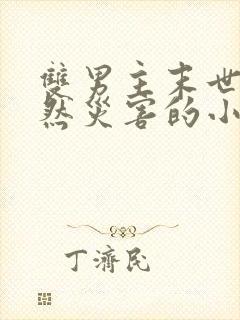 双男主末世文自然灾害的小说推荐