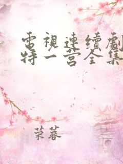 电视连续剧我的特一营全集完整版