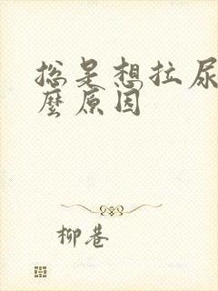 总是想拉尿是什么原因