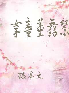 女主叶无双是杀手重生的小说