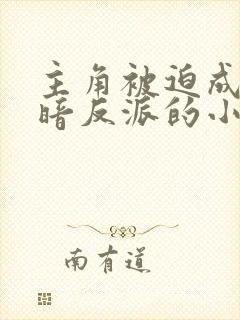 主角被迫成为黑暗反派的小说