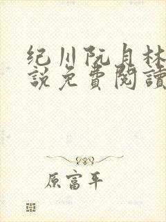 纪川阮月林九小说免费阅读最新章节