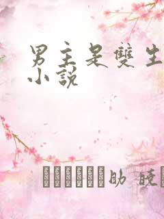 男主是双生子的小说