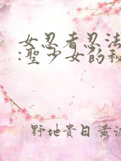 女忍者忍法帖2:圣少女的秘宝