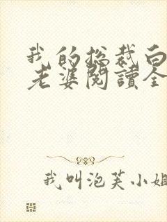 我的总裁白富美老婆阅读全文作者