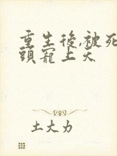 重生后,被死对头宠上天