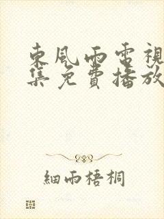 东风雨电视剧全集免费播放在线观看