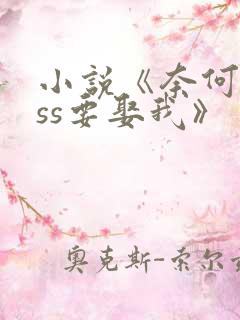 小说《奈何boss要娶我》