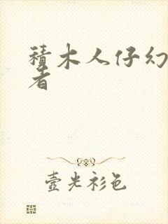 积木人仔幻影忍者