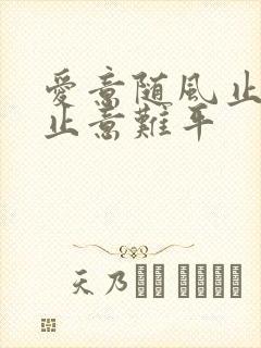 爱意随风止,风止意难平