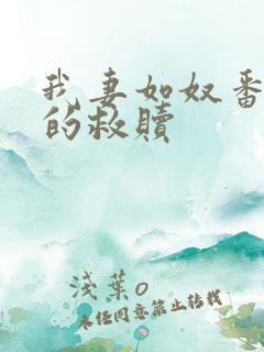 我妻如奴番外琳的救赎