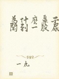 为什么鼻子总是闻到一股尿骚味