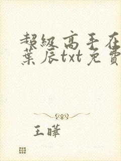 超级高手在都市叶辰txt免费下载