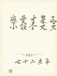 恋爱才是正经事小说全文免费阅读