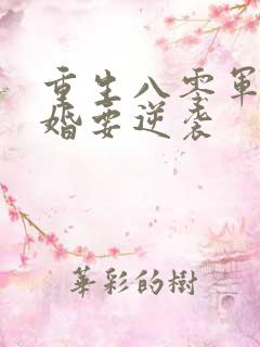 重生八零军嫂离婚要逆袭