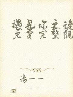 遇见你之后短剧免费完整观看高清