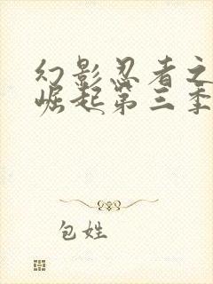 幻影忍者之神龙崛起第三季