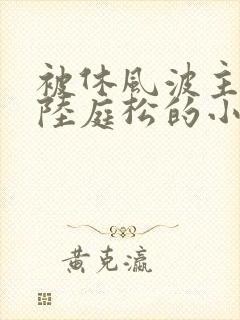 被休风波主角和陆庭松的小说