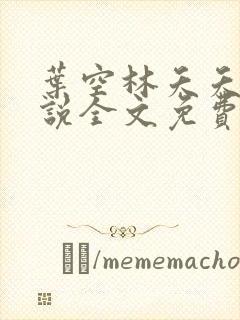 叶空林夭夭 小说全文免费阅读