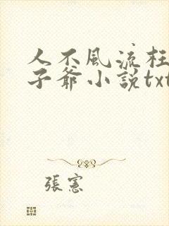 人不风流枉为太子爷小说txt下载