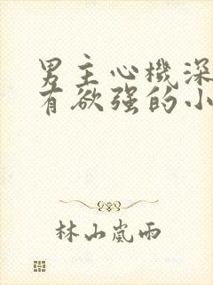 男主心机深沉占有欲强的小说