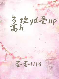 多攻yd受np高h