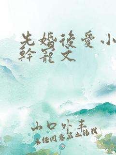 先婚后爱小说高干宠文