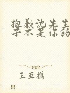 抱歉沈先生,孩子不是你的全集短剧