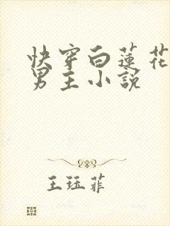 快穿白莲花攻略男主小说