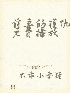 前妻的复仇日剧免费播放