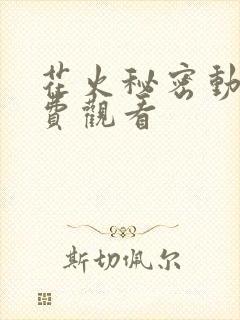 花火秘密动漫免费观看