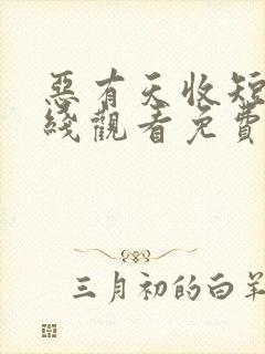 恶有天收短剧在线观看免费高清