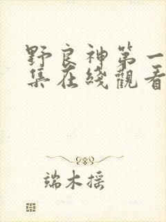 野良神第一季全集在线观看免费